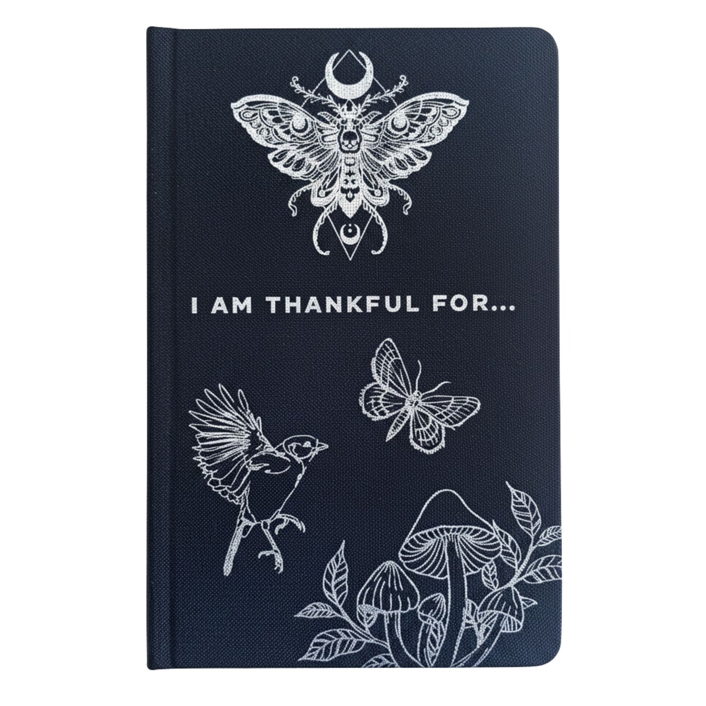 Exquisite Black & Silver Gratitude Journal - 120 pages including mood trackers, daily affirmations etc